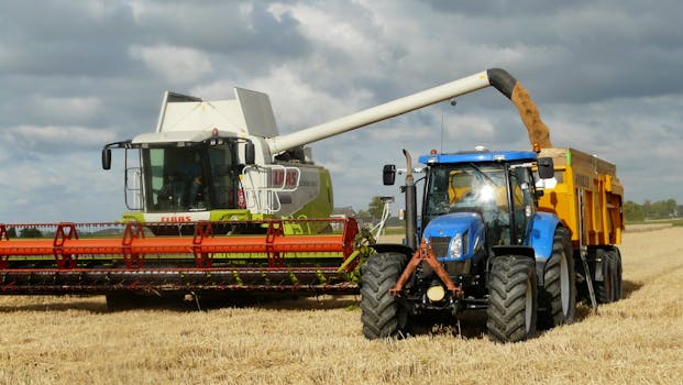 harvest-grain-combine-arable-farming-163752-163752 A modern combine harvester and tractor working together to harvest wheat in a sunny outdoor field.